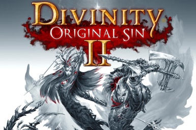 Divinity original sin infinite gold edition